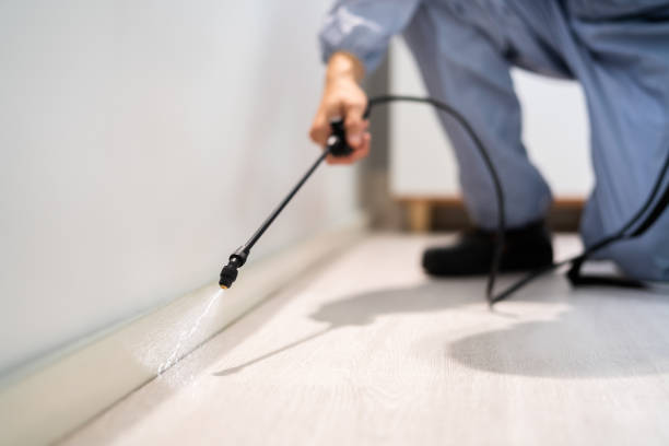 Rodent Entry Point Assessment in South Tucson