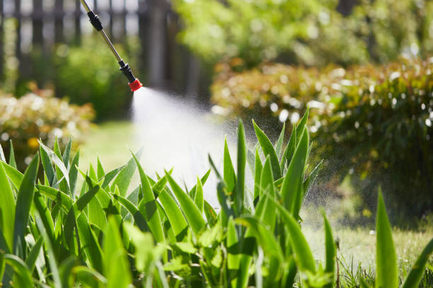 Tamper-Resistant Bait Stations for Rodents in South Tucson