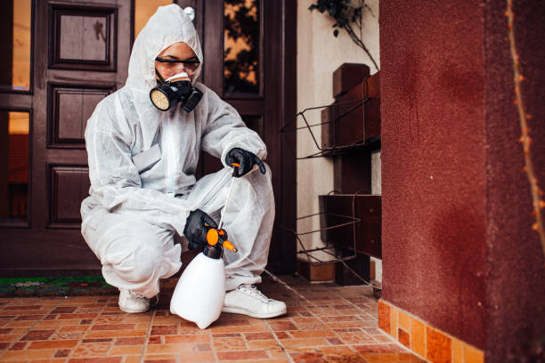 Attic and Crawl Space Rodent Treatment in South Tucson